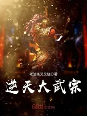 《逆天大武宗》小说封面