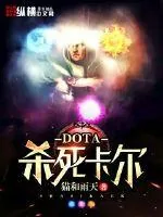 《dota杀死卡尔》小说封面