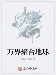 《万界聚合地球》小说封面