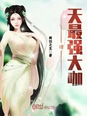 《诸天最强大咖》小说封面