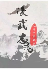 《凌武志》小说封面