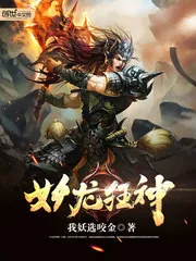《妖龙狂神》小说封面