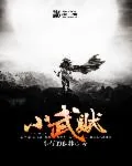 《小武贼》小说封面
