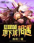《期待在地下城相遇》小说封面