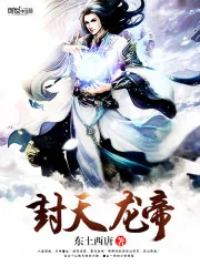 《封天龙帝》小说封面
