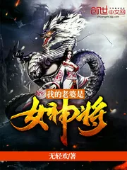 《我的老婆是女神将》小说封面