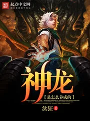 《神龙是怎么养成的》小说封面