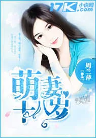 《萌妻十八岁》小说封面