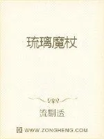 《琉璃魔杖》小说封面