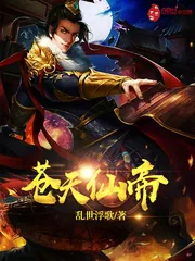 《苍天仙帝》小说封面