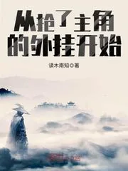 《从抢了主角的外挂开始》小说封面