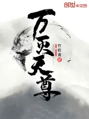 《万灭天尊》小说封面