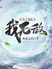 《有了系统我无敌》小说封面