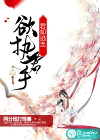 《欲执君手，君却逃走》小说封面