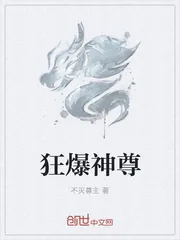 《狂爆神尊》小说封面
