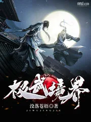 《极武境界》小说封面