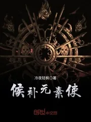 《候补元素使》小说封面