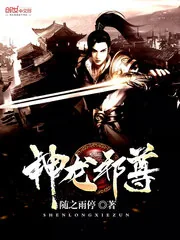 《神龙邪尊》小说封面