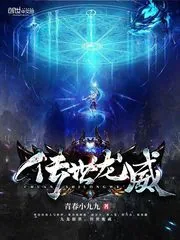 《传世龙威》小说封面