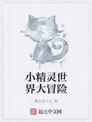 《小精灵世界大冒险》小说封面