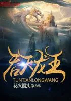 《吞天龙王》小说封面