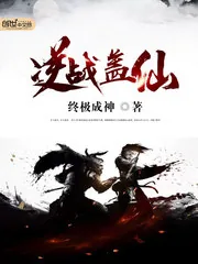 《逆战盖仙》小说封面