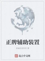 《正牌辅助装置》小说封面