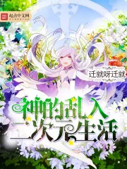 《神的乱入二次元生活》小说封面