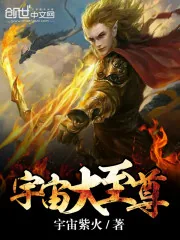《宇宙大至尊》小说封面