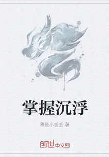 《掌握沉浮》小说封面