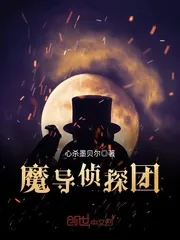 《魔导侦探团》小说封面