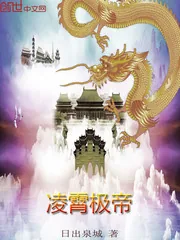 《凌霄极帝》小说封面