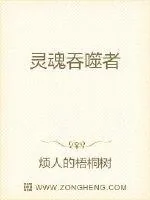 《灵魂吞噬者》小说封面