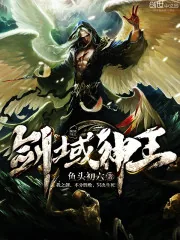 《剑域神王》小说封面