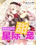 《星际甜宠》小说封面