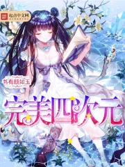 《完美四次元》小说封面