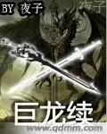 《巨龙倒计时续》小说封面