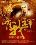《唯我主宰》小说封面