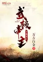 《武极帝主》小说封面