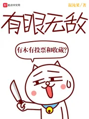 《有眼无敌》小说封面
