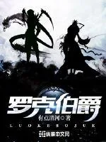 《罗克伯爵》小说封面