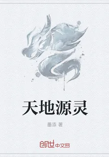《天地源灵》小说封面