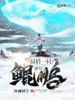 《最后一只鲲鹏》小说封面