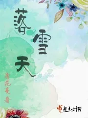 《落雪天》小说封面