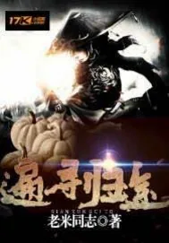 《遍寻归途》小说封面