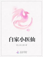 《白家小医仙》小说封面