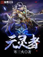 《元灵者》小说封面