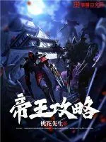 《帝王攻略》小说封面