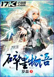 《碎星物语》小说封面