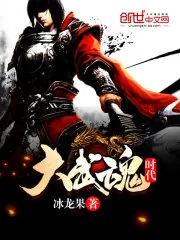 《大武魂时代》小说封面